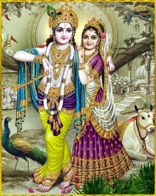 dr radha krishna image